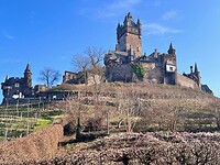 IMG_5651