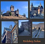 IMG_5798
