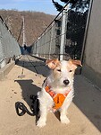 IMG_5716