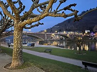IMG_5778