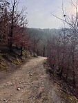 IMG_5805