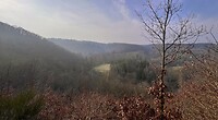 IMG_5806