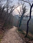 IMG_5808