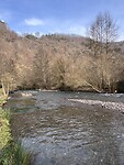IMG_5826