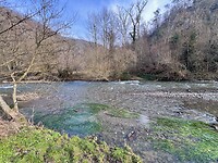 IMG_5829