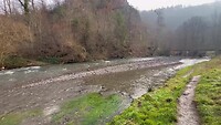 IMG_5831