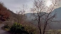 IMG_5814