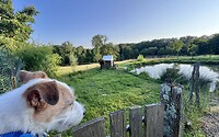 IMG_9469