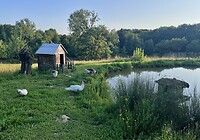 IMG_9471