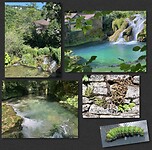 IMG_9591