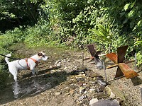 IMG_9567