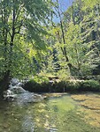 IMG_9562