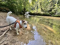 IMG_9557