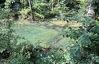 IMG_9501