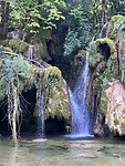 IMG_9499
