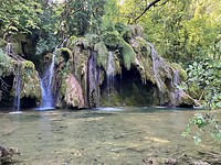 IMG_9498