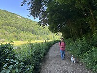 IMG_9493