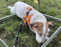 IMG_9778