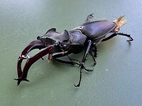 IMG_9763