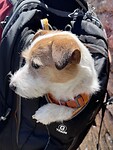 IMG_9710