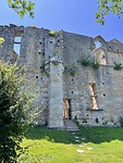 IMG_9658