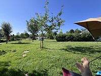 IMG_9916