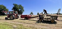 IMG_9900