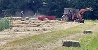 IMG_9890