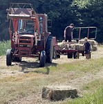 IMG_9891