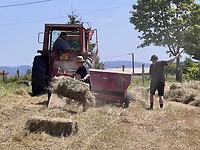 IMG_9888