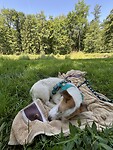 IMG_5464