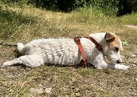 IMG_5615