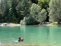 IMG_5606