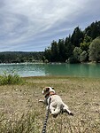 IMG_5616