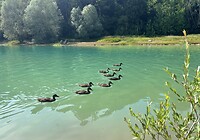 IMG_0478