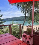 IMG_0468