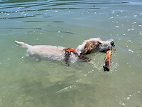 IMG_0464