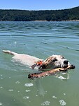 IMG_0462