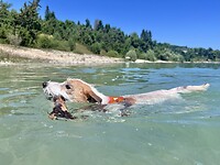 IMG_0451