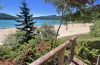IMG_0438