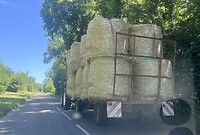 IMG_0430