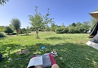IMG_0507