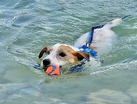 IMG_5656