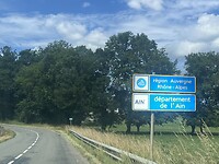 IMG_0595