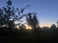IMG_0726