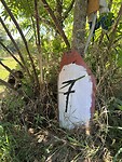 IMG_0705