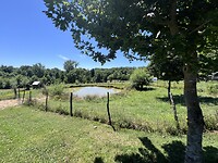 IMG_0698