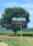 IMG_9934