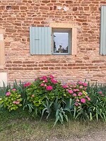 IMG_9951