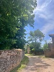 IMG_9952